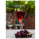 Vinho Tinto Seco Esencial Cabernet Franc 2023 750ml